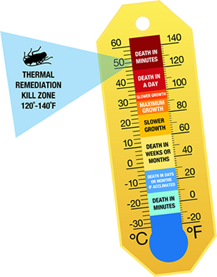 Infra Red Heat Killzone